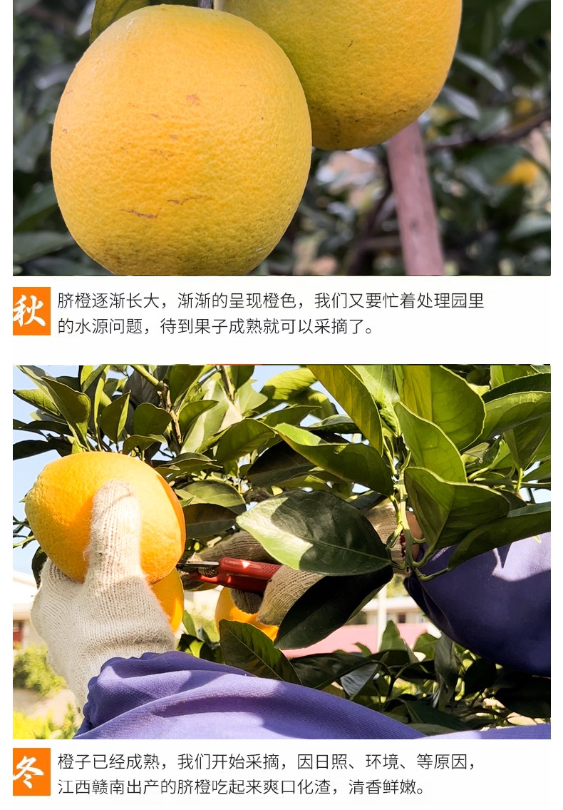和萬安|生態(tài)農業(yè)|有機食品|綠色食品|稻田共養(yǎng)
