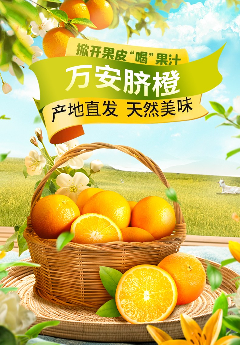和萬安|生態(tài)農業(yè)|有機食品|綠色食品|稻田共養(yǎng)