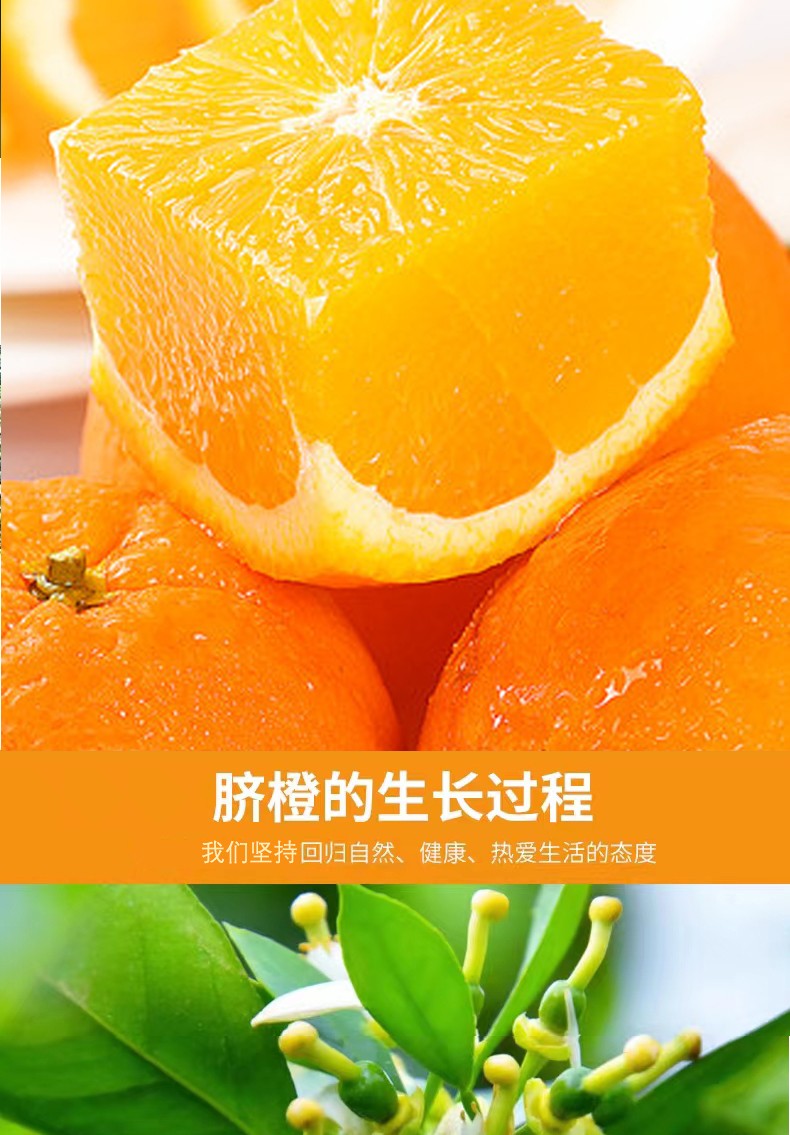 和萬安|生態(tài)農業(yè)|有機食品|綠色食品|稻田共養(yǎng)