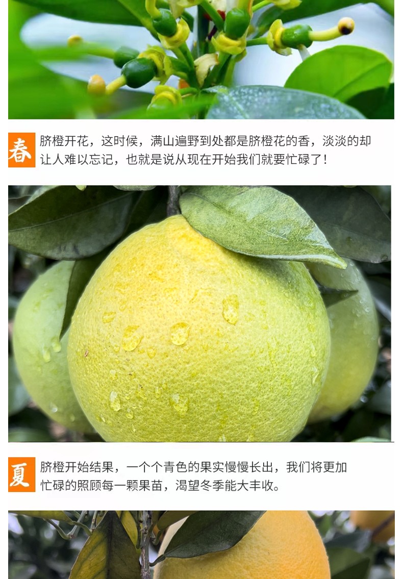 和萬安|生態(tài)農業(yè)|有機食品|綠色食品|稻田共養(yǎng)