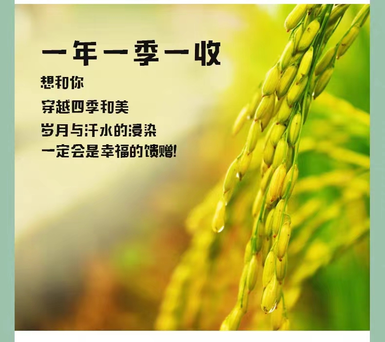 和萬安|生態(tài)農(nóng)業(yè)|有機食品|綠色食品|稻田共養(yǎng)