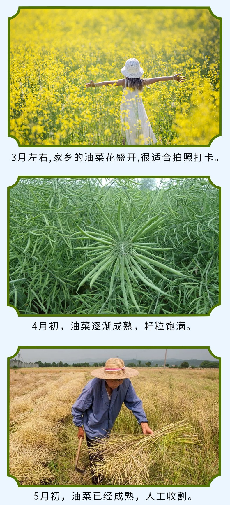 和萬(wàn)安|生態(tài)農(nóng)業(yè)|有機(jī)食品|綠色食品|稻田共養(yǎng)