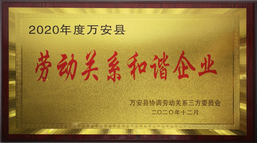 2020年度勞動關(guān)系和諧企業(yè)
